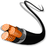 NetComm networkring is right for your business!